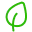 Sleeké brush features